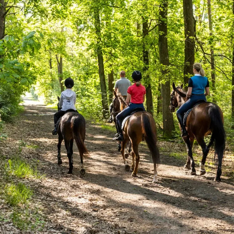 Paardrijden Aprizz - Outdoor premium producten